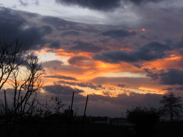 34 Dalla Finestra, dicembre 2008