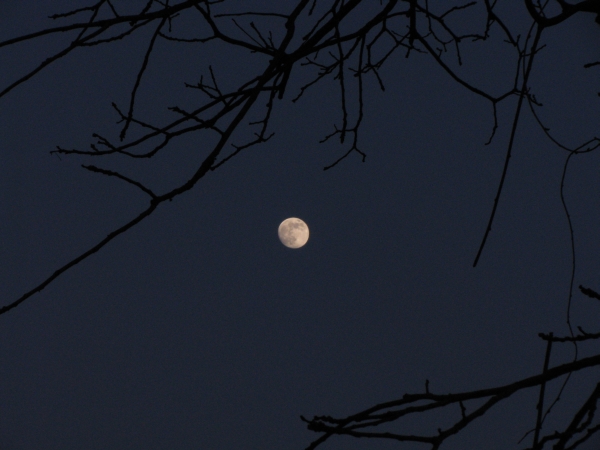 40 Notte di luna piena, febbraio 2009