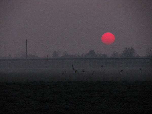 39 Tramonto sul lavandeto, febbraio 2009