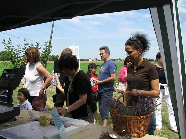 60 21 giugno, 3� Festa della Lavanda