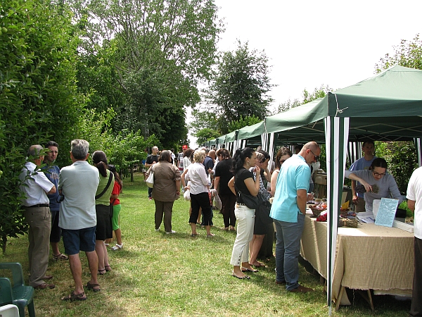 63 21 giugno, 3� Festa della Lavanda