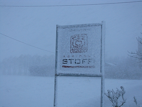 73 I tri d� dla merla, 31 gennaio 2010