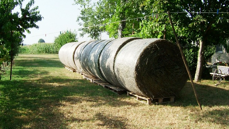 11 Raccolto lavanda 2007